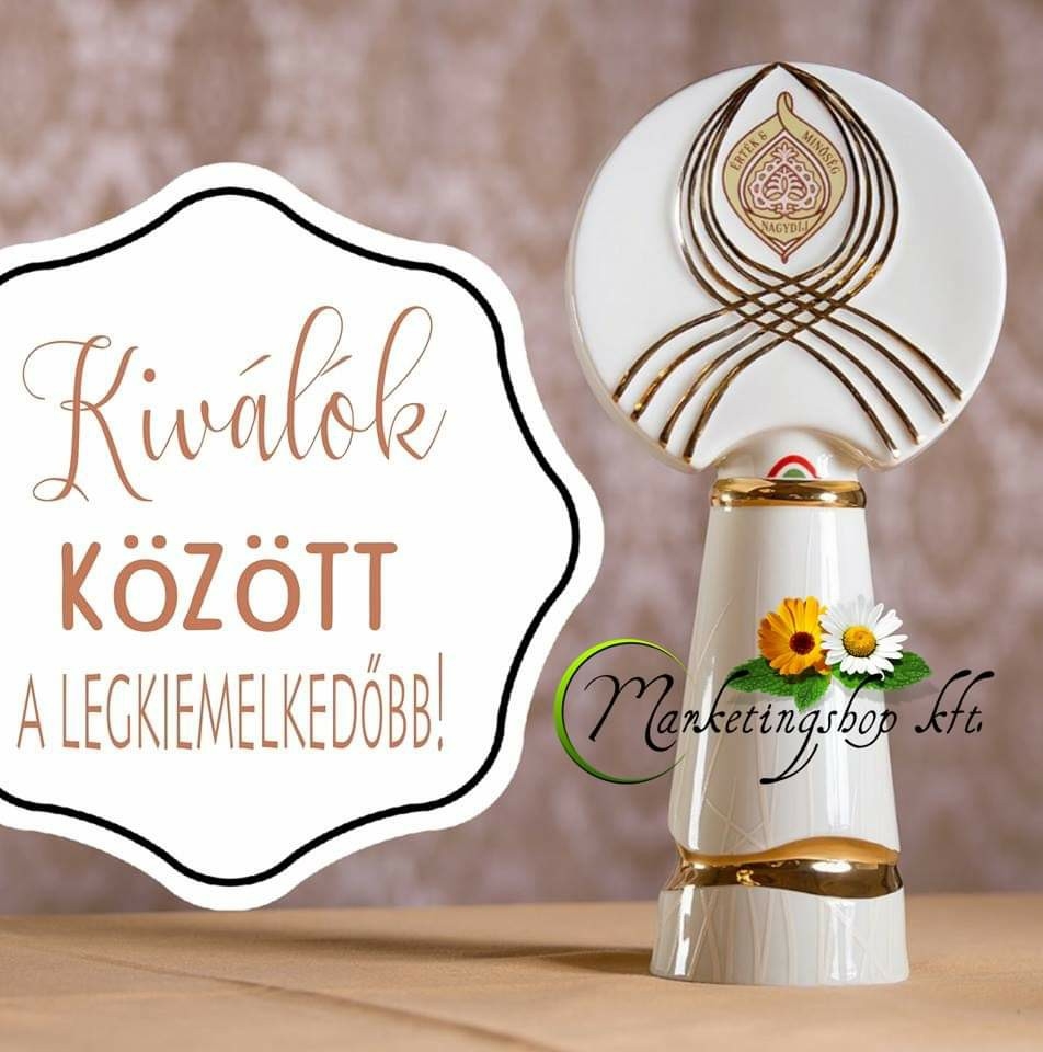 Marketingshop Kft logo